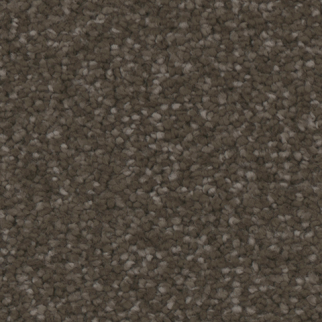Tarkett Home Carpets Providence Woodlands LEXMARK