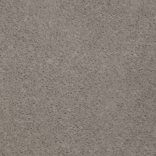 Aladdin Carpet Accelerator Plus Silver Streak Mohawk