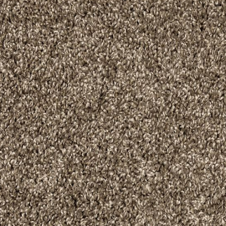 Mohawk Carpet Purrsonality III Legend Mohawk