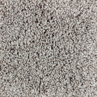 Mohawk Carpet Perfect Attraction Meandering Mohawk
