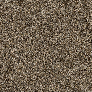 Mohawk Carpet Purrsonality III Nightshade Mohawk
