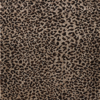 Kane Carpet Ceremony Leopard KANE