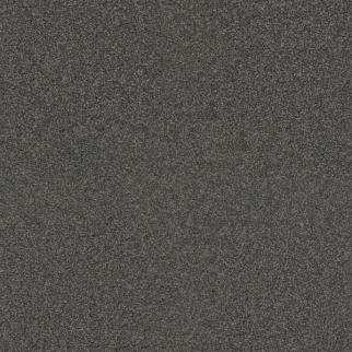 Dreamweaver Carpet Exceptional II Electron DREAMWEAVER