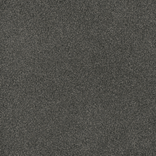 Dreamweaver Carpet Hammond Creek I Electron DREAMWEAVER