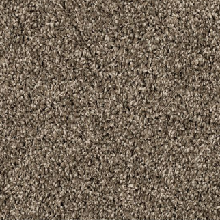 Mohawk Carpet Purrsonality II Matte Mohawk