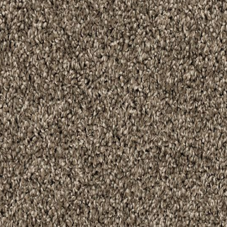 Mohawk Carpet Canine Chic Matte Mohawk