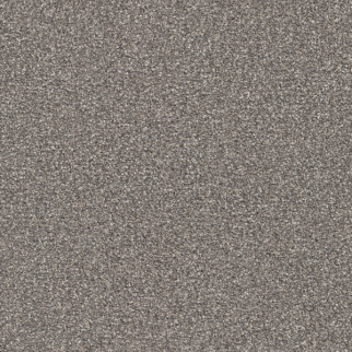 Masland Carpets Tracker Beethoven Masland