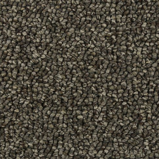 Horizon Carpet Pure Wonder 12' Gunmetal Mohawk