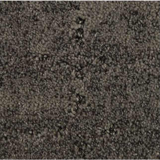 Horizon Carpet Elaborate Appeal Sea Lion Mohawk