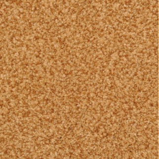 Dixie Home Chromatic Touch Chip