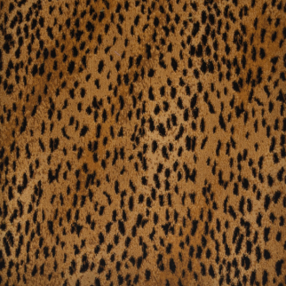 Kane Carpet Wild Asia II Badger KANE
