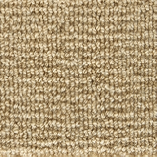 Stanton Carpet Forester Beige Stanton
