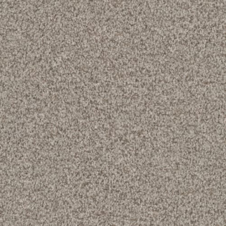 Masland Carpets Santa Rosa Boardwalk Masland