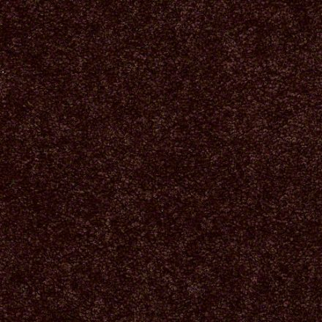 DesignTek Carpet Dalton 30 12' Coffee DESIGNTEK