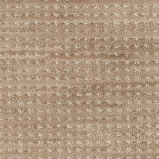 Masland Carpets Imagine Daring Masland