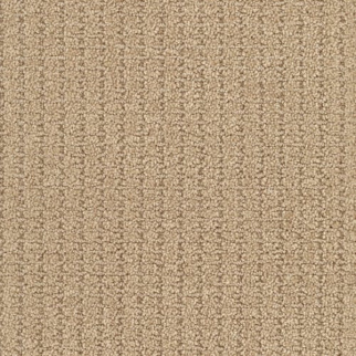 Masland Carpets Defined Doubloon Masland