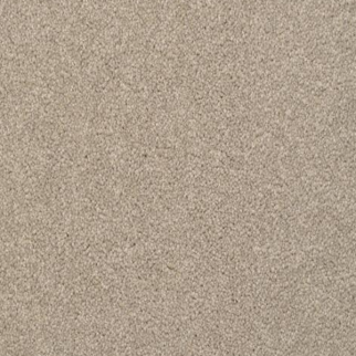 Dixie Home Alluring Driftwood