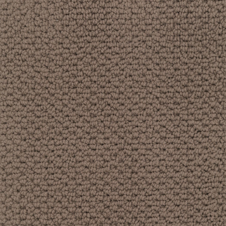 Masland Carpets Beachfront Driftwood Masland