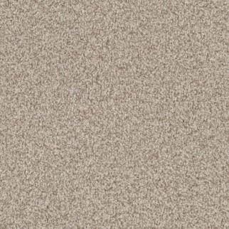 Masland Carpets Santa Rosa Dry Dock Masland