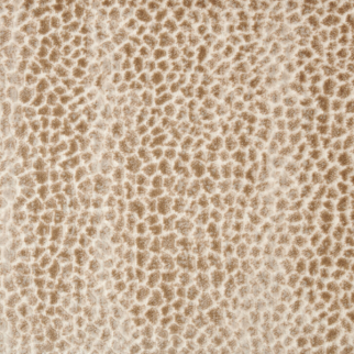 Stanton Carpet Allegory Dune Stanton