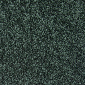 Horizon Carpet Striking Option Eden Mohawk