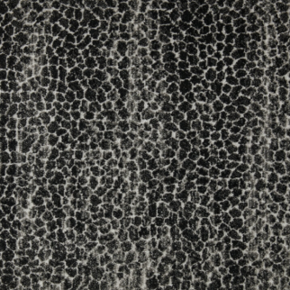 Stanton Carpet Allegory Graphite Stanton
