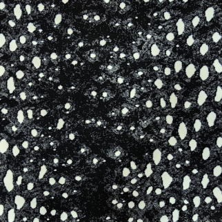 Kane Carpet Panthera Nature KANE