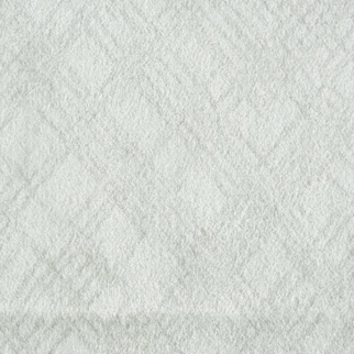 Stanton Carpet Starry Gleam Platinum Stanton
