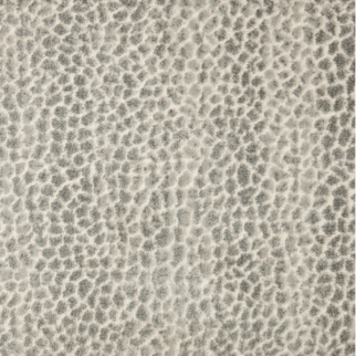 Stanton Carpet Allegory Silverfox Stanton