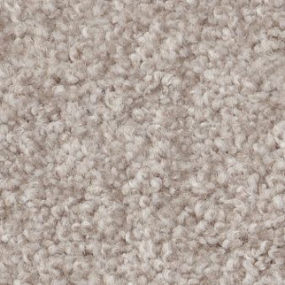 Shaw Floors Harmonious III Split Sedime SHAW