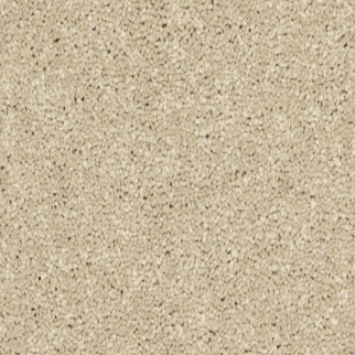 Horizon Carpet Modern Story II Stone Lion Mohawk