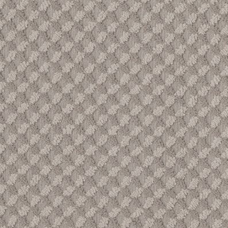 Tuftex Inspired Design Stucco SHAW