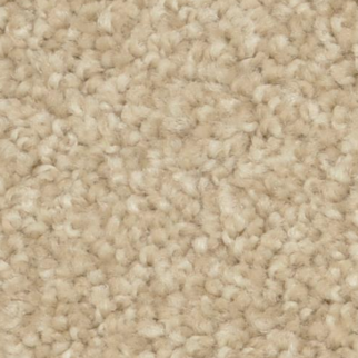 Dixie Home Alluring Suede