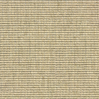 Stanton Carpet Caracas Surf Stanton