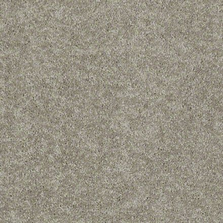 Shaw Floors Dyersburg Classic 15' Taupe Mist SHAW