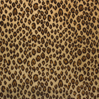 Kane Carpet New Leopard Tigers Eye KANE