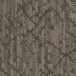 Masland Carpets Circuitry Truffle Masland