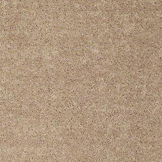 Shaw Floors Briceville Classic 12' Wild Dune SHAW