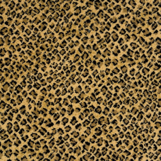 Stanton Carpet Serengeti Wildroot Stanton