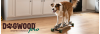Hartco Dogwood Pro Pet-Friendly Hardwood Flooring